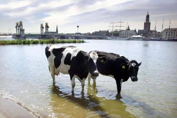 Hotel Van Dijk Kampen Exteriör bild